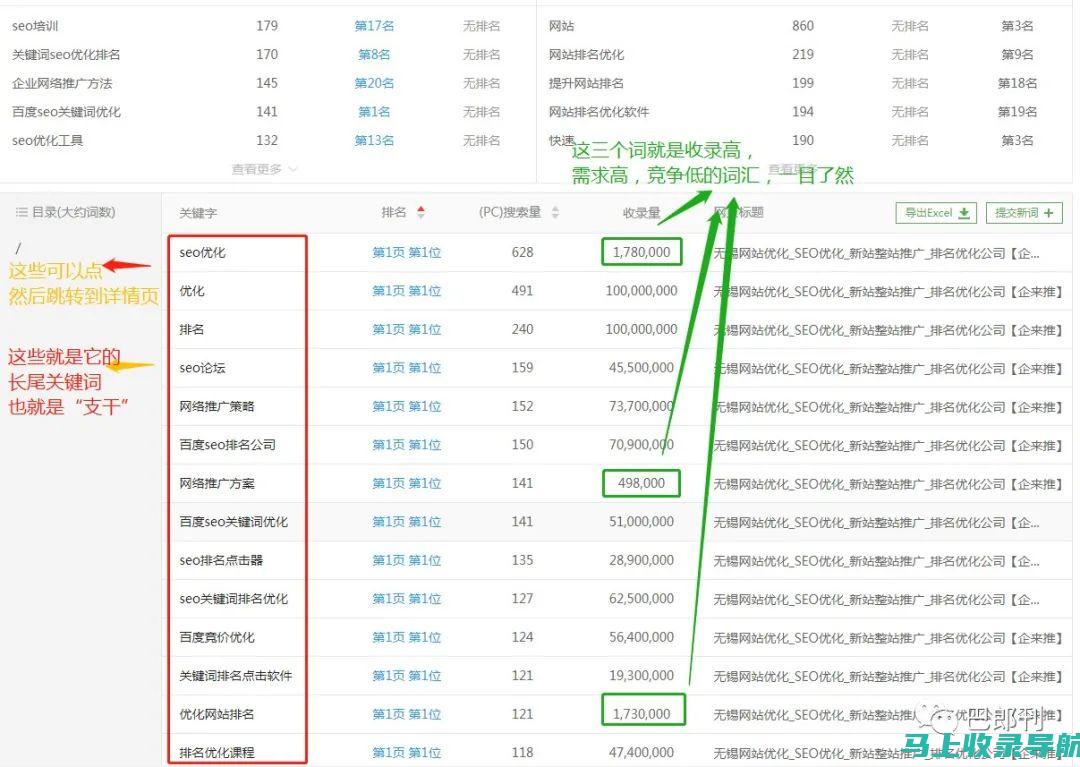 SEO查询背后的秘密：揭秘排名点击率的增长之道